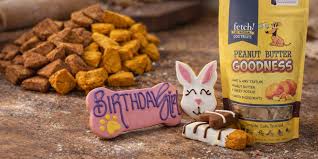 Veteran-Owned Business Spotlight: Fetch! Dog Treats