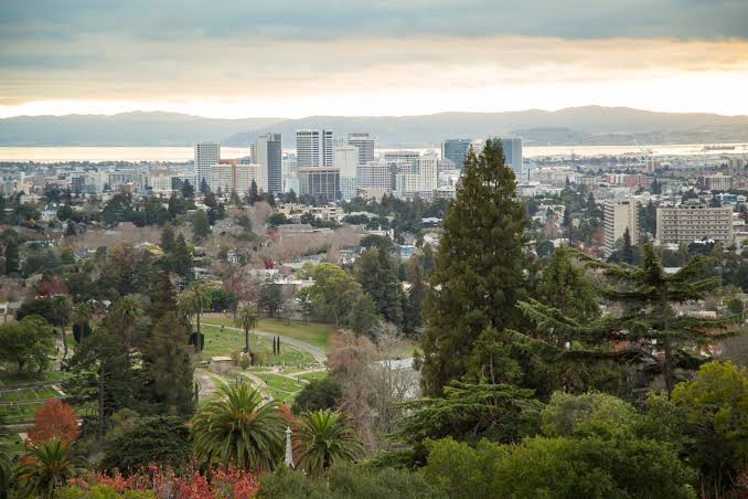 Stanley Zhong’s UC Admissions Lawsuit Raises Questions About Alleged Bias Against Asian American Applicants
