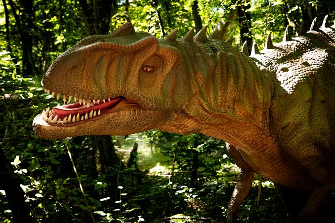 Scientists Identify the Rare Meteorite That Wiped Out the Dinosaurs